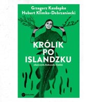 Grafika promująca spotkanie z Grzegorzem Kasdepke i Hubertem Klimko-Dobrzanieckim, po prawej stronie zielony obraz, w którym jest postać dziewczyny trzymającej się za warkocze