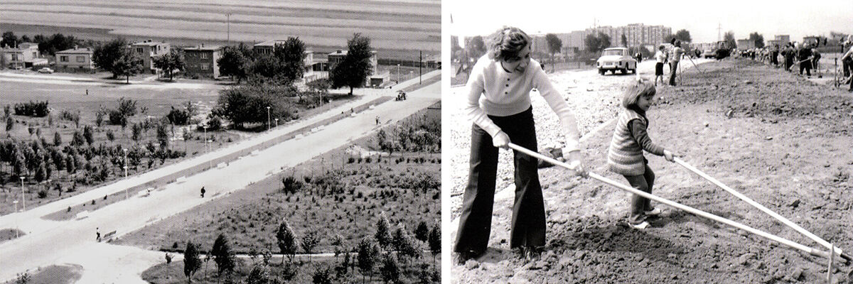 Dwa archiwalne zdjęcia. Na pierwszym droga na Tysiącleciu, a obok roślinność i domy mieszkalne, a na drugim grabiąca w ziemi kobieta i dziecko
