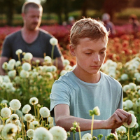 Dwóch chłopców w koszulkach z krótkim rękawkiem zbierających na łące kwiaty, a za nimi stojący mężczyzna i kobieta