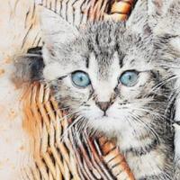 Narysowane koty z niebieskimi oczami w koszyku wiklinowym