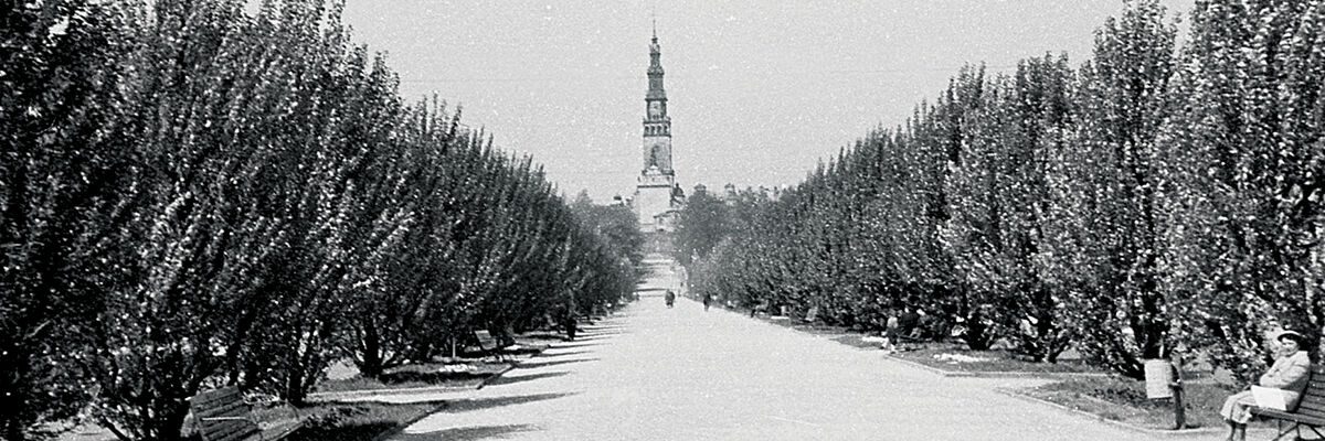 Archiwalne czarno-białe zdjęcie przedstawiające al. NMP, drzewa wokół i Jasną Górę w oddali 